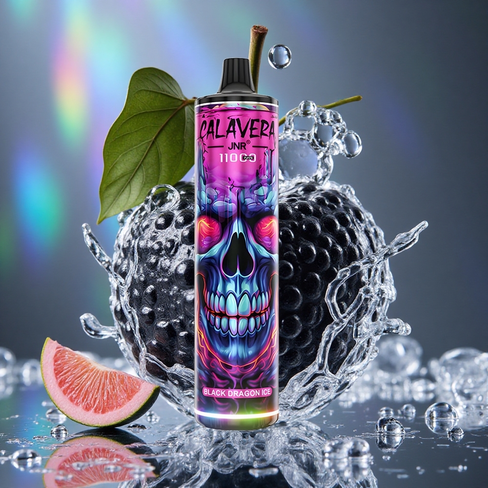 Crni Zmaj Led JNR Calavera 11000 Puffs Тип-Ц пуњење