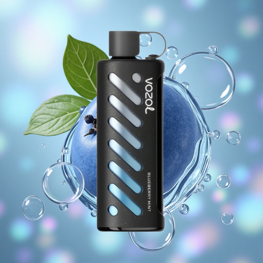 Boravin Mentol VOZOL Gear Shisha 25000 Puffs S.i.L.C Tech